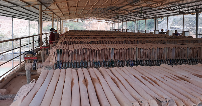 丝瓜视频在线看黄片